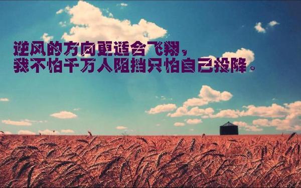 手机短信营销
:如何策划一场成功的短信营销？