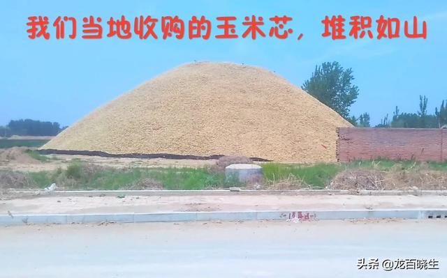 变废为宝创业项目
:今年玉米芯生意好做吗，想返乡创业做玉米芯生意？