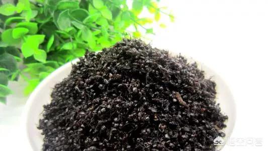 黑蚂蚁酒
:黑蚂蚁泡酒有什么功效？