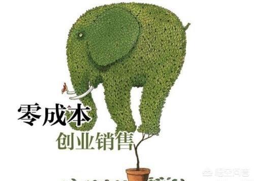 免费网店代销
:淘宝上免费代理商品并且帮助策划店铺的人是干什么的？