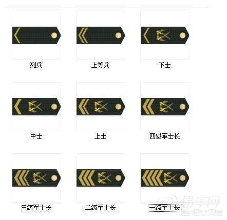 一级军士长
:士官怎样才能晋升为军士长？