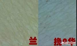 卸妆油推荐
:求推荐哪款卸妆油好用？