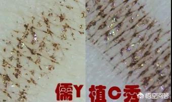 卸妆油推荐
:求推荐哪款卸妆油好用？