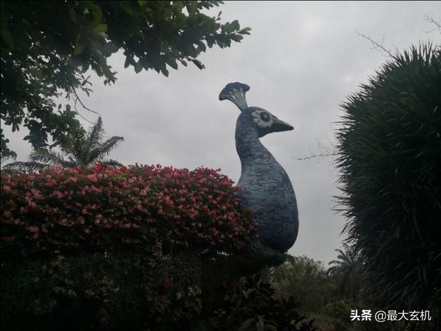 83年属什么生肖
:83属猪痛点在哪？
