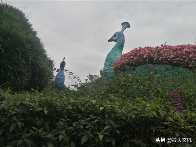 83年属什么生肖
:83属猪痛点在哪？