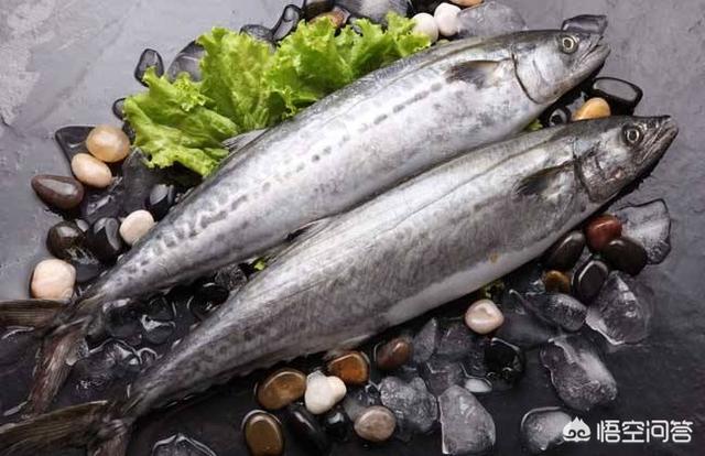 哪些鱼是深海鱼
:常见可食用的深海鱼都有哪些？