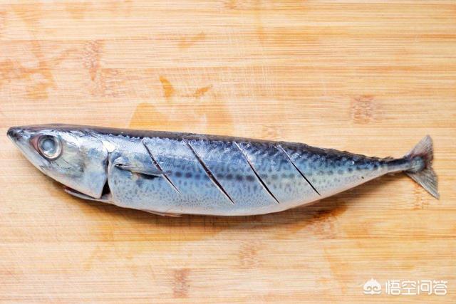 哪些鱼是深海鱼
:常见可食用的深海鱼都有哪些？