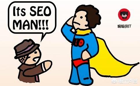 免费网站seo诊断
:SEO优化中网站不被收录的原因有哪些？如何排查？