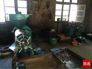 榨油坊
:农村榨油坊的前景如何？