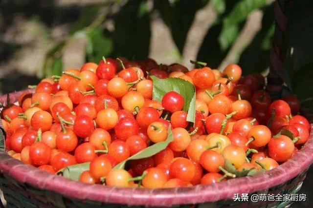 车厘子是什么
:智利车厘子和我们国家的樱桃价格相差好几倍，两者区别在哪？
