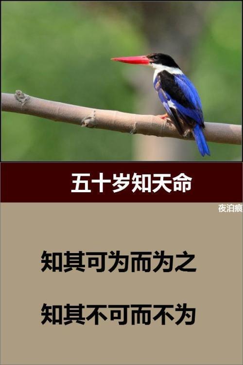 五十知天命
:五十知天命，知的是什么？