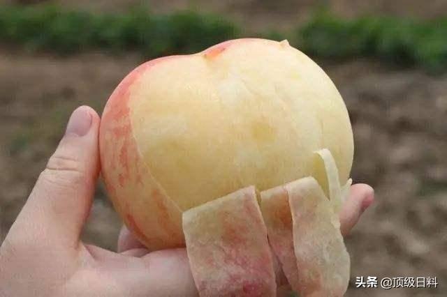 阳山水蜜桃
:阳山水蜜桃到底有多好吃？
