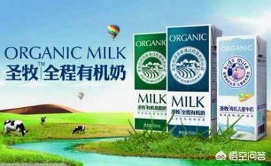 圣牧
:有机风口正盛，为何圣牧却巨亏22亿？