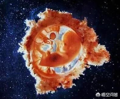 孕妇前三个月食谱
:怀孕前3个月除了吃叶酸，还应该吃些什么呢？