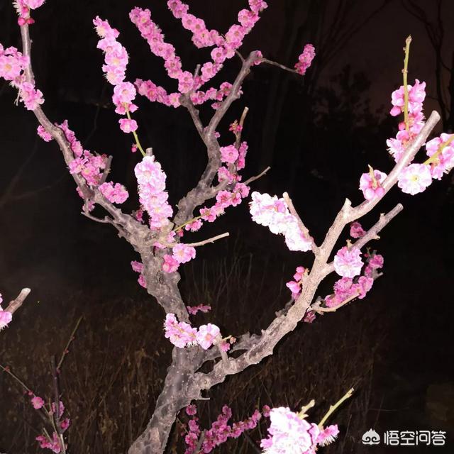 女为悦己者容的意思
:女为悦己者容这句话有道理吗？