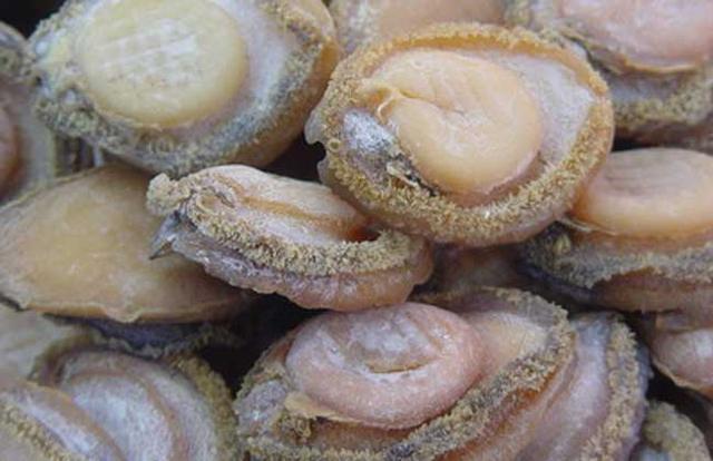 鲍鱼是什么意思
:鲍鱼都有哪些品种？