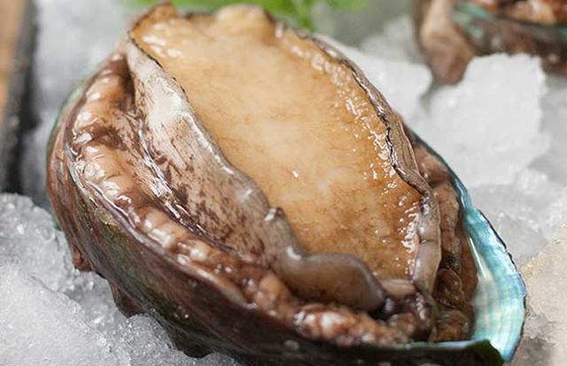 鲍鱼是什么意思
:鲍鱼都有哪些品种？