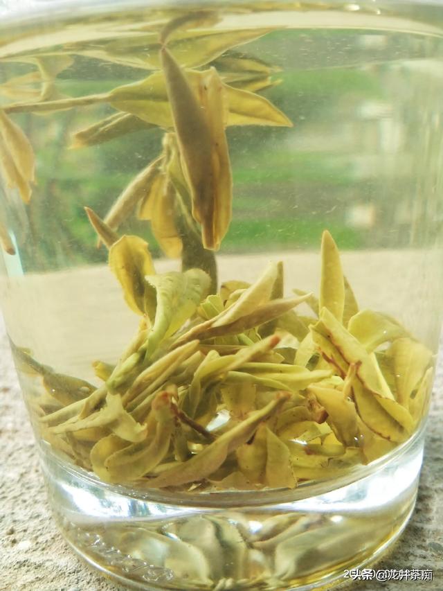 茶叶品牌营销
:新的茶叶品牌如何推广？