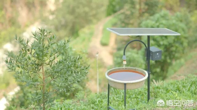 茶叶品牌推广
:精准扶贫如何推广茶叶品牌？