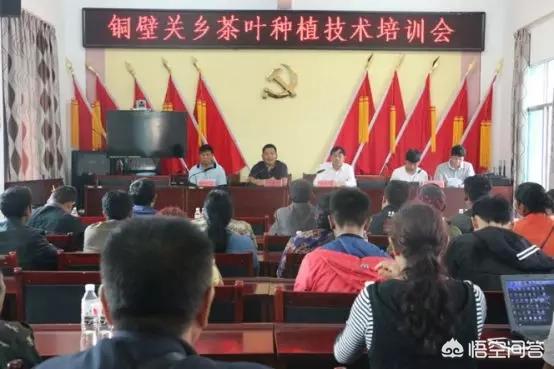 茶叶品牌推广
:精准扶贫如何推广茶叶品牌？