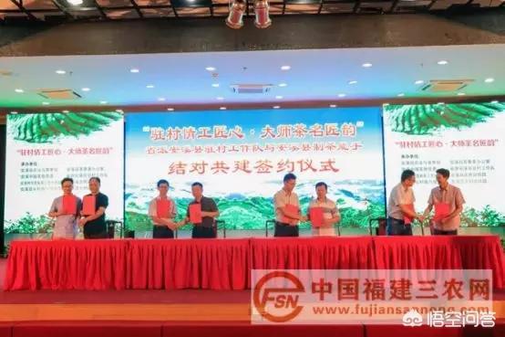 茶叶品牌推广
:精准扶贫如何推广茶叶品牌？