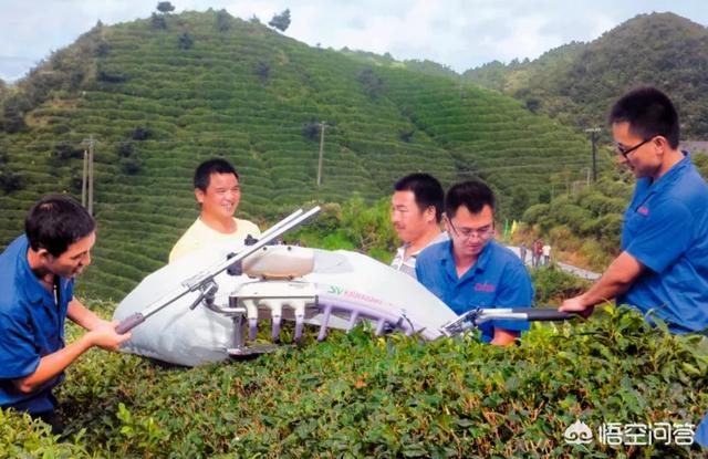 茶叶品牌推广
:精准扶贫如何推广茶叶品牌？