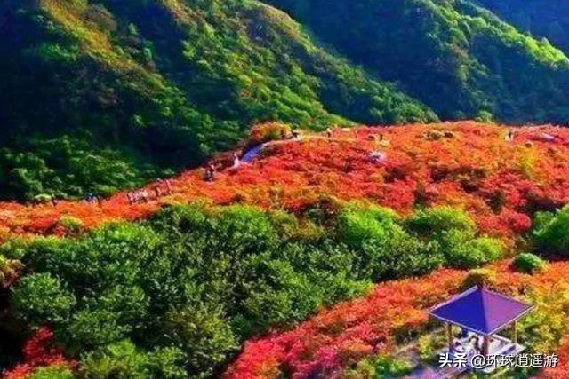 长沙有什么好玩的地方
:长沙有什么好玩的地方吗？