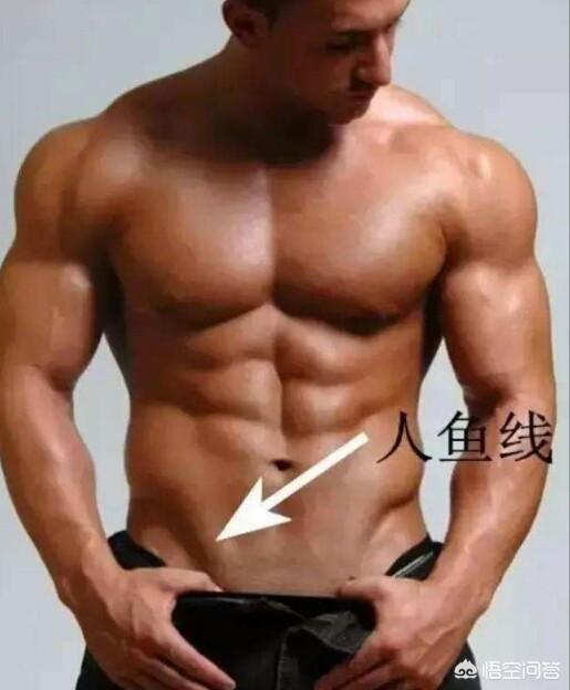 人鱼线是什么
:人鱼线、马甲线、AB线分别是什么？怎么练？