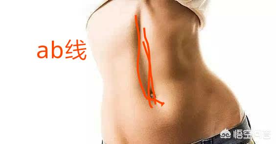 人鱼线是什么
:人鱼线、马甲线、AB线分别是什么？怎么练？