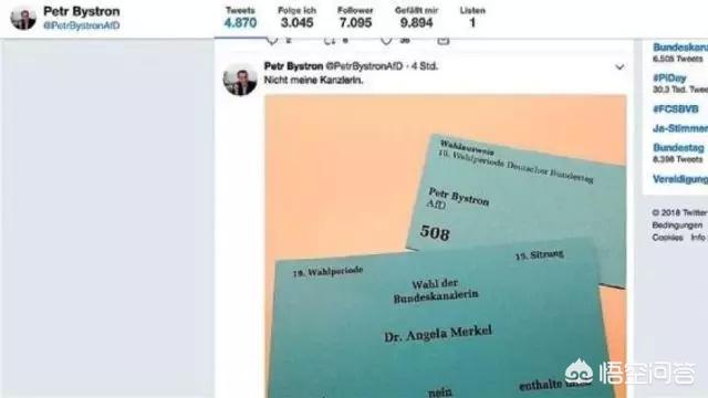 民盟党
:怎么看待德国选择党成为德国议会第三大党？