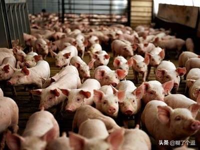 食品安全案例
:历史上曾经出现过哪些重大的食品安全事故？都是因为什么原因引起的？
