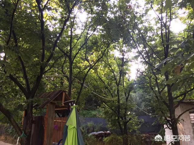 木马公寓
:昆明有特点的民宿推荐？