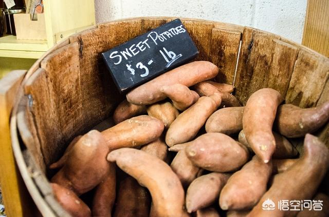 粗纤维食物
:什么食物可以补充膳食纤维的？