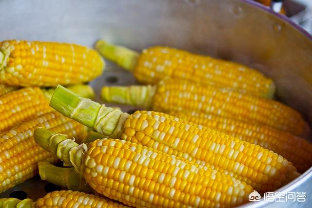 粗纤维食物
:什么食物可以补充膳食纤维的？