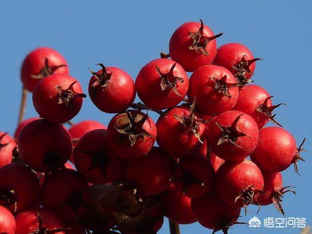 粗纤维食物
:什么食物可以补充膳食纤维的？
