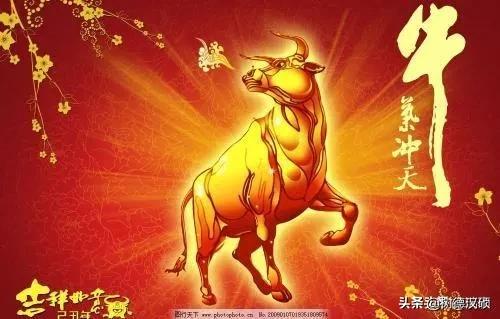 今年是什么年啊
:为什么今年叫金牛年？