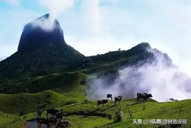 今年是什么年啊
:为什么今年叫金牛年？