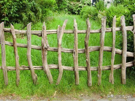 情有独钟的意思
:古代诗人为什么对篱落这个词情有独钟呢？