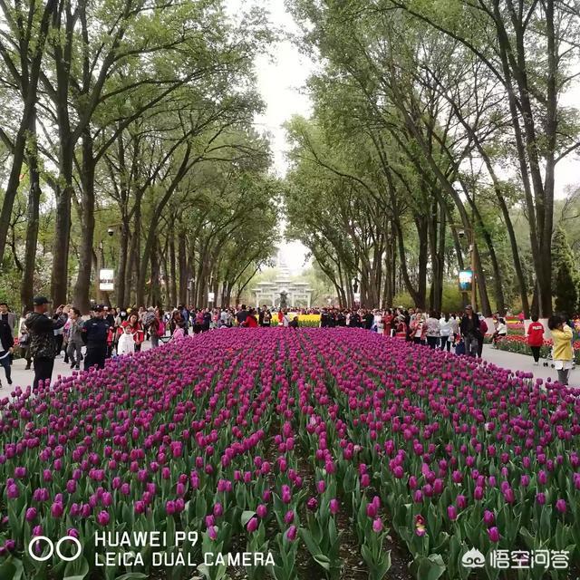 豁达是什么意思
:举例说明什么叫“豁达”？