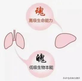 人生若只如初见意思
:“人生若只如初见”，是怎样的心境？