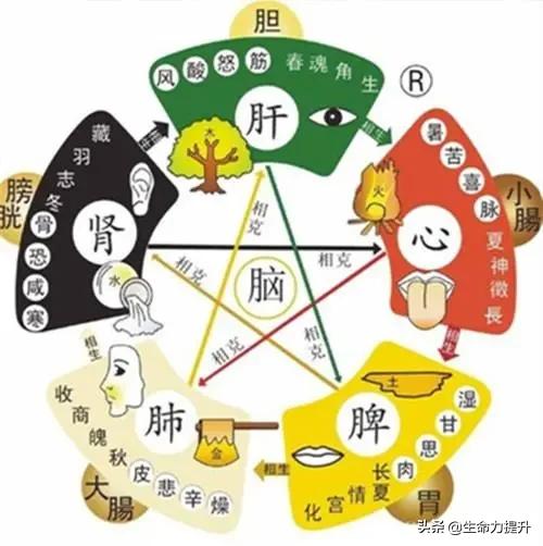 人生若只如初见意思
:“人生若只如初见”，是怎样的心境？