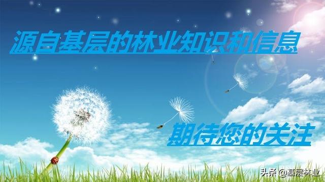 痛彻心扉是什么意思
:彼岸花，为什么看见会让人痛彻心扉呢？