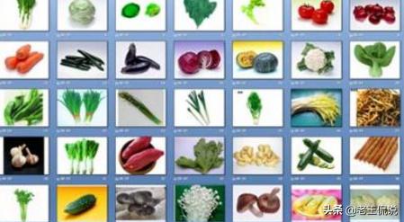 蔬菜种类大全
:蔬菜名称大全？