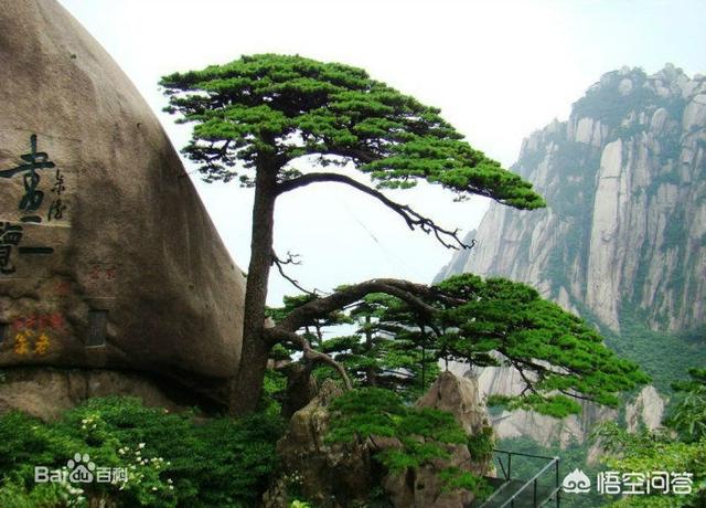 合肥景区
:合肥市巢湖景区可开发的潜力有哪些？