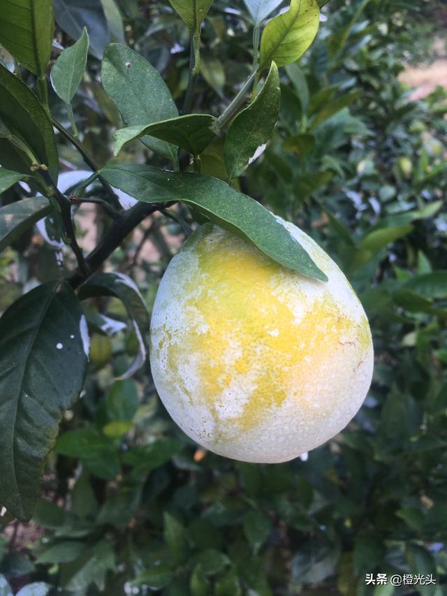 微商推广
:如何做好微商和推广朋友圈？