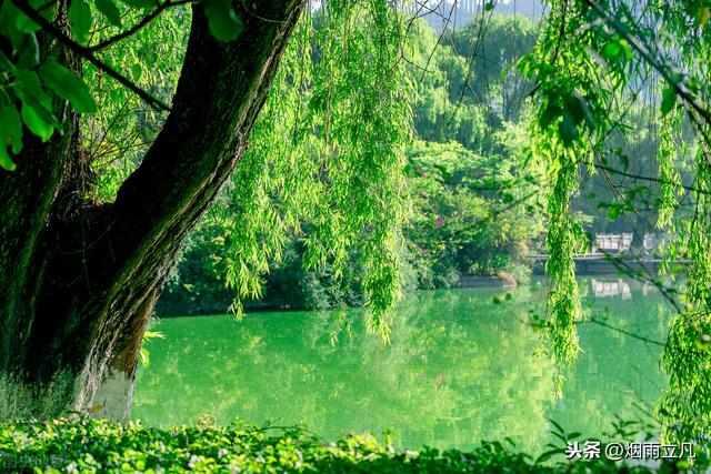 词牌名有
:最喜欢的词牌名是什么？