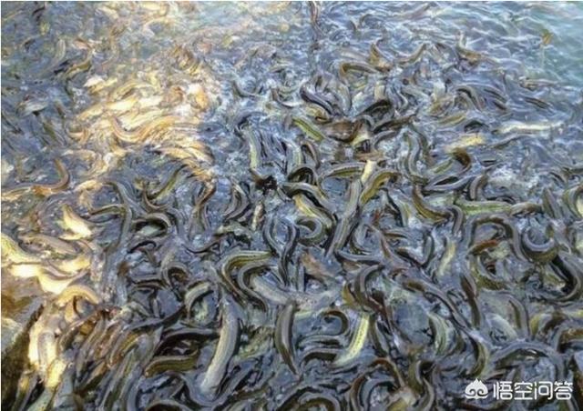 在农村干什么挣钱
:在农村做哪个行业最赚钱？