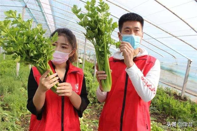 养殖什么不愁销路
:目前农村搞养殖，有什么项目是本钱少、好养又不愁销路的？