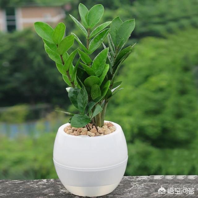 搬家送什么礼物比较好
:乔迁送什么礼品？