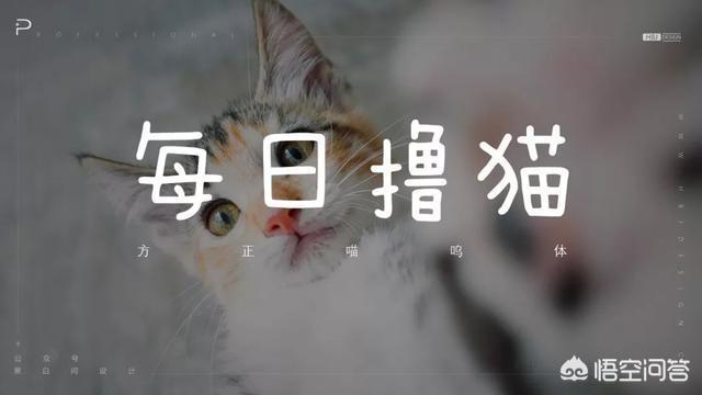 方正清刻本悦宋简体
:PPT里面有什么好的字体推荐吗？